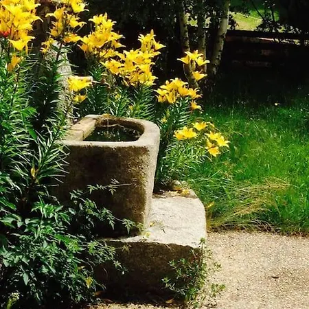 Tatil Evi A La Campagne 3 * Proche A75 En Margeride. La Roche (Lozere)