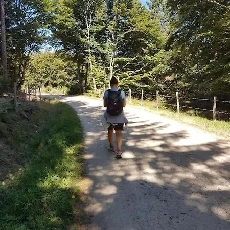A La Campagne 3 * Proche A75 En Margeride. * La Roche (Lozere)