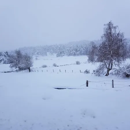 A La Campagne 3 * Proche A75 En Margeride. La Roche (Lozere)