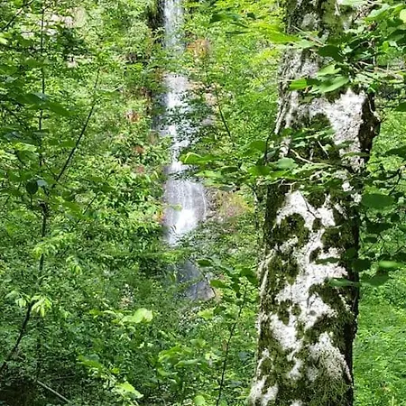 A La Campagne 3 * Proche A75 En Margeride. * La Roche (Lozere)