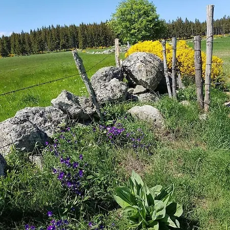 Tatil Evi A La Campagne 3 * Proche A75 En Margeride. La Roche (Lozere)