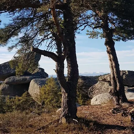 A La Campagne 3 * Proche A75 En Margeride. La Roche (Lozere)